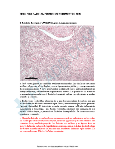 Respuestas-correctas-segundo-parcial-primer-cuatrimestre-2021.pdf