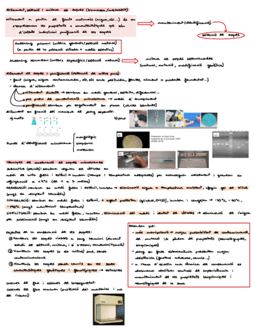 Bloc-IIIseleccio-de-soques-i-bioreactors.pdf