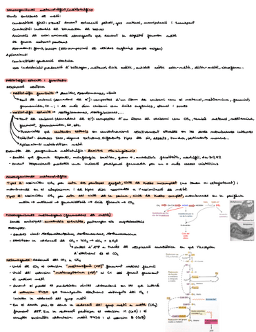 Bloc-IImicroorganismes-metabotrofics-metilotrofics....pdf