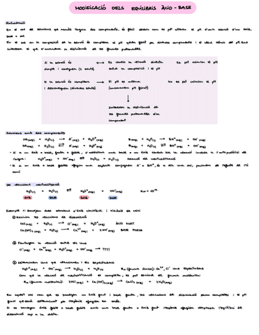 Modificacio-dequilibri-acid-base-teoriaexercicis.pdf