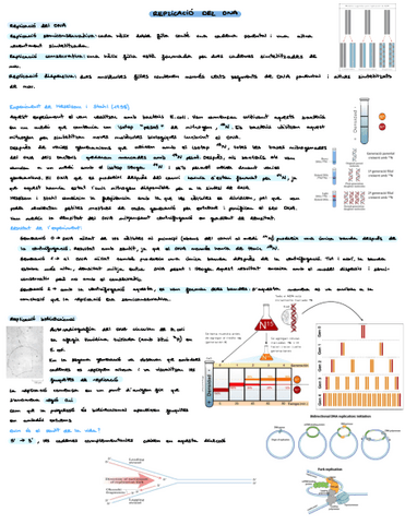 Tema-3replicacio-del-DNA.pdf