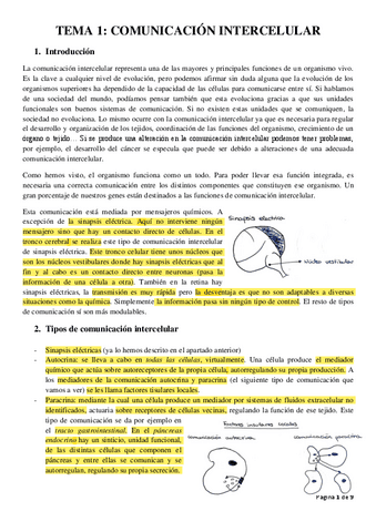 endocrinologia-leccion-1.pdf