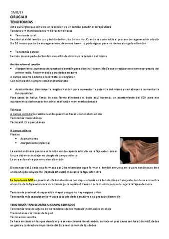 Cirugia-II.pdf