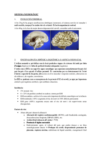 4-SISTEMA-NEUROLOGIC.pdf