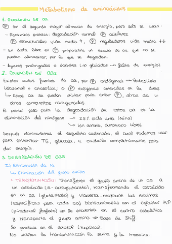 Metabolismo-de-aas230504121212.pdf