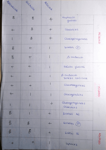 Tema-7.pdf