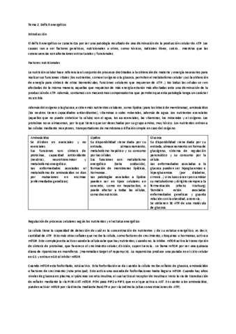 Tema-2-deficit-energetico.pdf