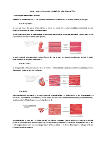 Tema-1-2-y-3-locomotor.pdf