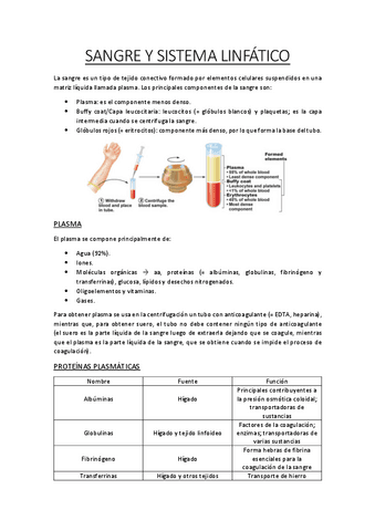 Sangre-y-Sistema-Linfatico-Fisiologia-II-1oNHD.pdf