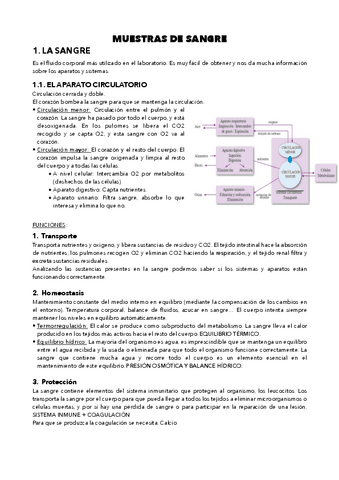 Gestion-de-muestras-UD4-Muestras-de-sangre.pdf