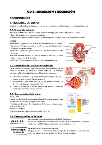 Gestion-de-muestras-UD6-Secreciones-y-extreciones.pdf