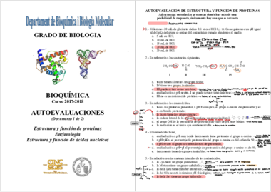 Autoevaluaciones bloques I- II y III.pdf