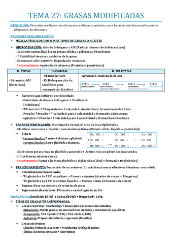 TEMA-27.pdf