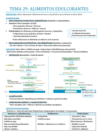 TEMA-29.pdf