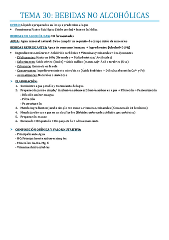 TEMA-30.pdf