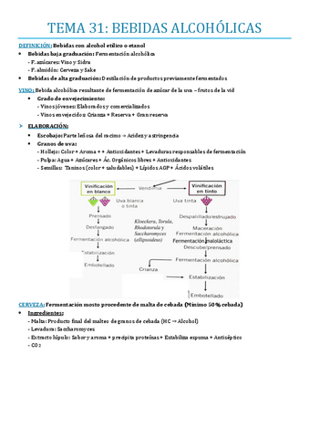 TEMA-31.pdf