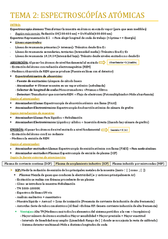TEMA-2.pdf