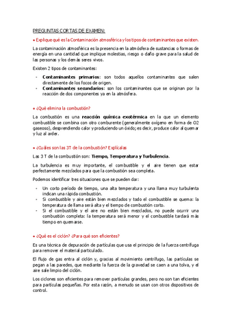 PREGUNTAS-CORTAS-DE-EXAMEN.pdf