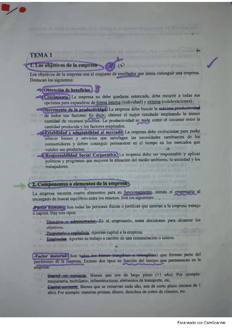 Tema 1 - Resumen.pdf