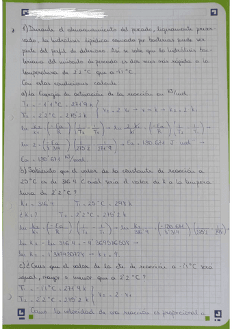 Actividad-Voluntaria-Tema-2-Hecha-Quimica-II-1oNHD.pdf