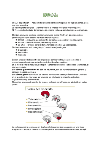 MEDICINA-NUCLEAR-TEMA-12.pdf