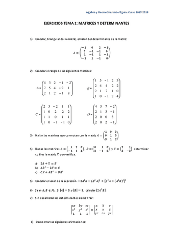 TEMA1-MATRICESEjercicios.pdf