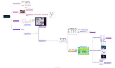 CLASIFICACION-TAXONOMICA.pdf