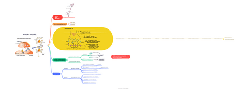 Anatomia-Funcional-del-Potencial-de-Accion-del-SN.pdf