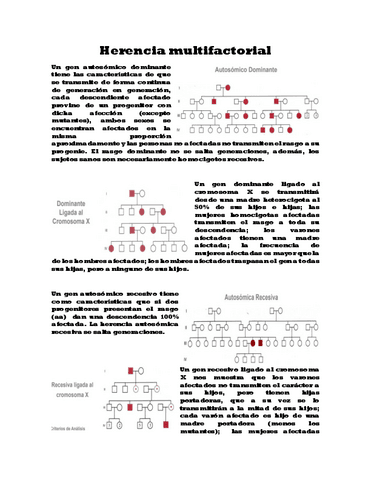 04-Herencia-multifactorial.pdf