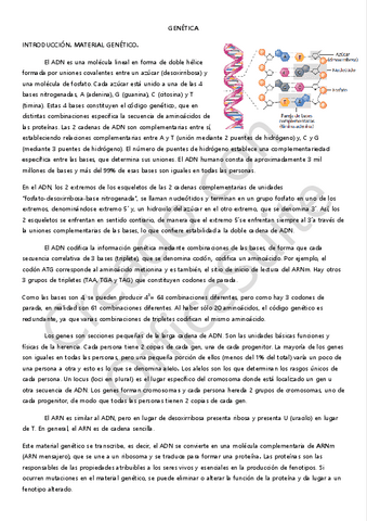 GENETICA-1.-INTRODUCCION-Y-CICLO-CELULAR.pdf