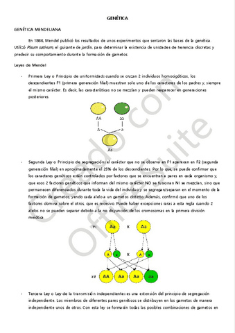 GENETICA-2.-MENDEL.pdf