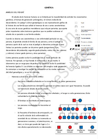 GENETICA-3.-PEDIGRI.pdf