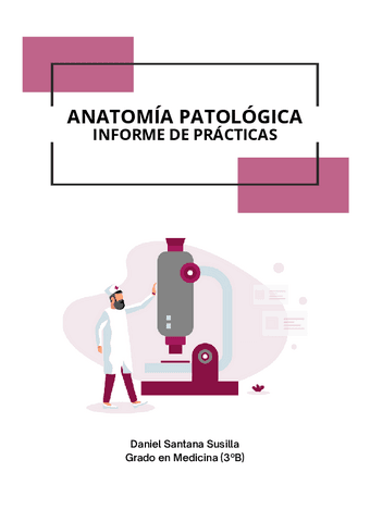 INFORME-DE-PRACTICAS.pdf