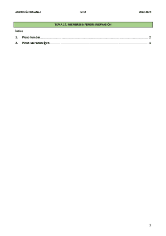 TEMA-18.-MI-inervacion.pdf