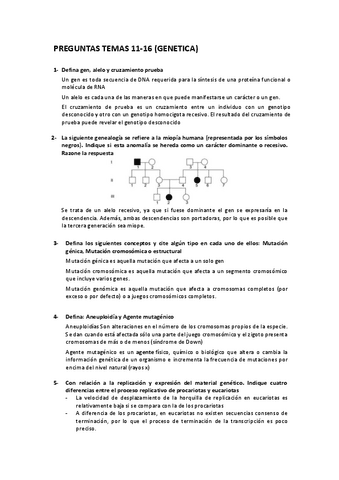 Preguntas-11-16.pdf