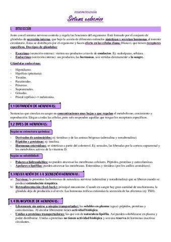 T11-SISTEMA-ENDOCRINO.pdf