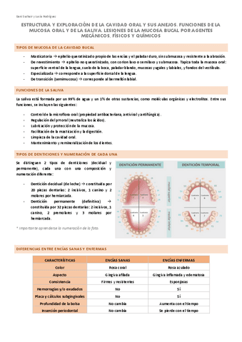 PREGUNTAS-ESTOMATOLOGIA.pdf