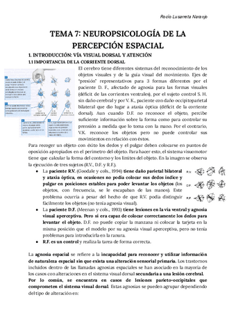 APUNTES-NEUROPSICOLOGIA-TEMAS-7-9.pdf