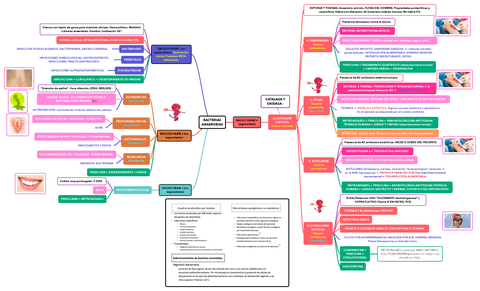 BACTERIAS-ANAEROBIAS.pdf