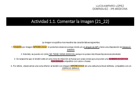 Actividad-1.pdf.pdf
