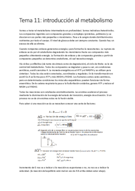 Tema 11.pdf