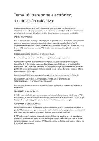 Tema 16.pdf