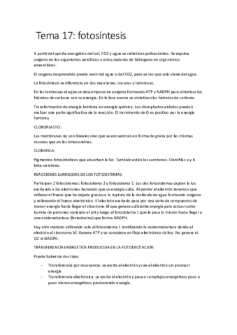 Tema 17.pdf