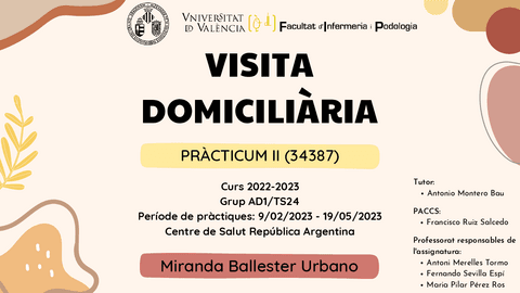POWER-VISITA-DOMICILIARIA.pdf