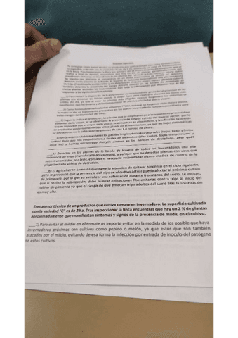 Examen-Horticolas.pdf