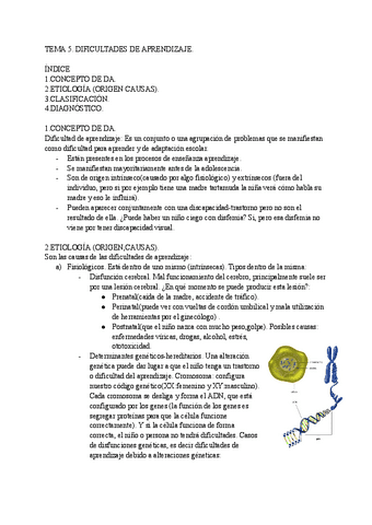 TEMA-5.-DIFICULTADES-DE-APRENDIZAJE-EN-EL-AULA..pdf