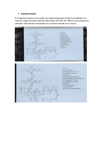 Examen-BQ.pdf