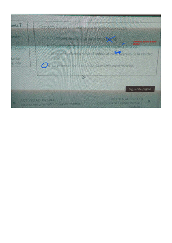 EXAMANES-OFTA-ONLINE-3.pdf