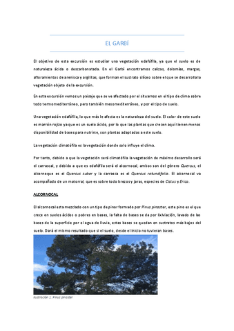 EL-GARBI-JAVALAMBRE.pdf