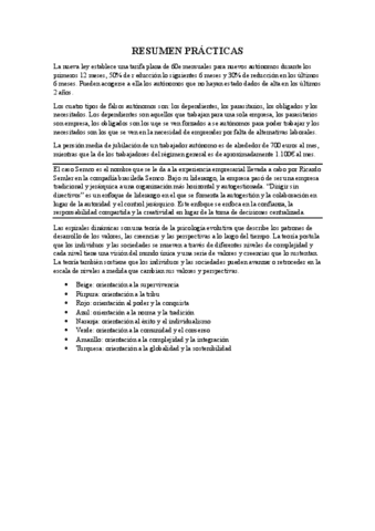 RESUMEN-PRACTICAS-DE-AULA.pdf
